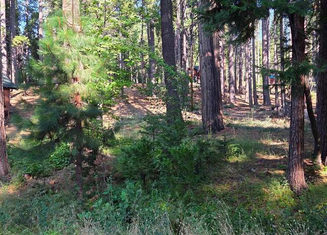 Property at 3038 Shoshone Dr, Camp Connell, CA 95223