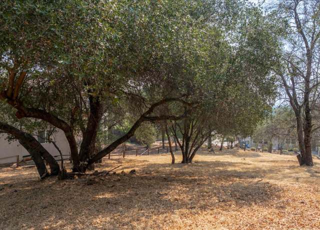 Property at 0 736 Live Oak, Angels Camp, CA 95222