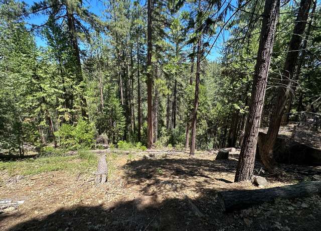 Property at 487 Canyon View Dr, Hathaway Pines, CA 95233