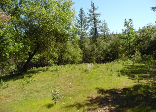Property at 6101 Pappalardo Promenade, Murphys, CA 95247