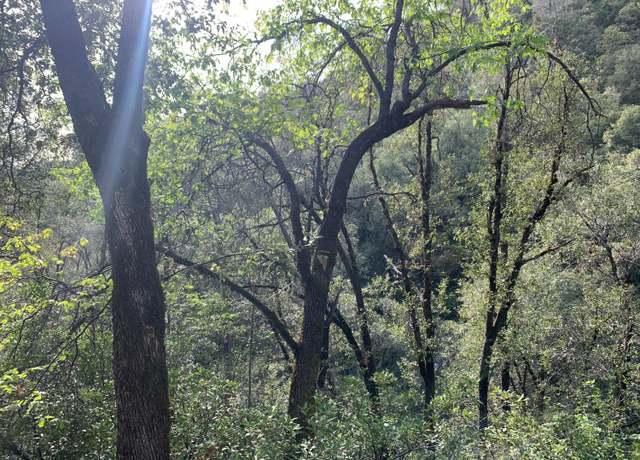 Property at 1885 Pennsylvania Gulch Rd, Murphys, CA 95247