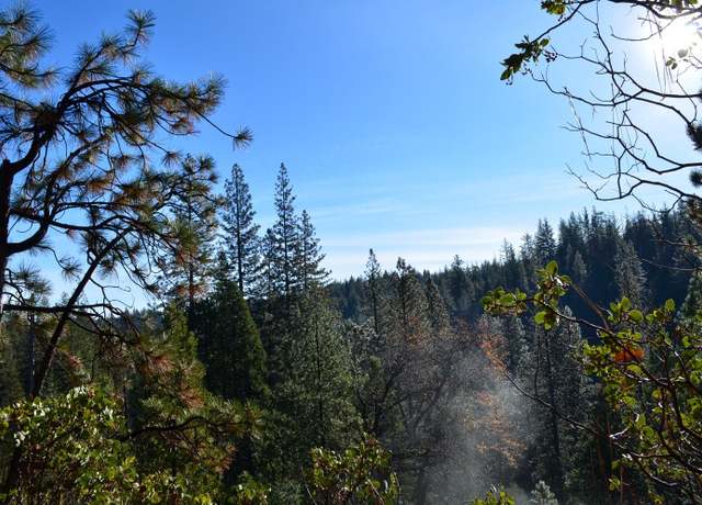 Property at 1703 War Hawk Way, Arnold, CA 95223