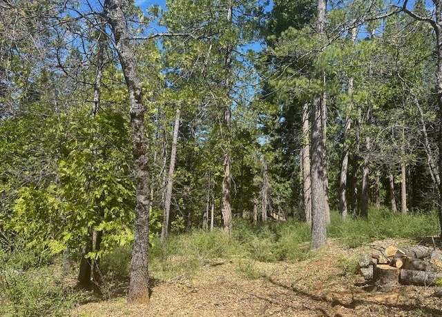 Property at 2928 Pine Knoll Dr, Arnold, CA 95223