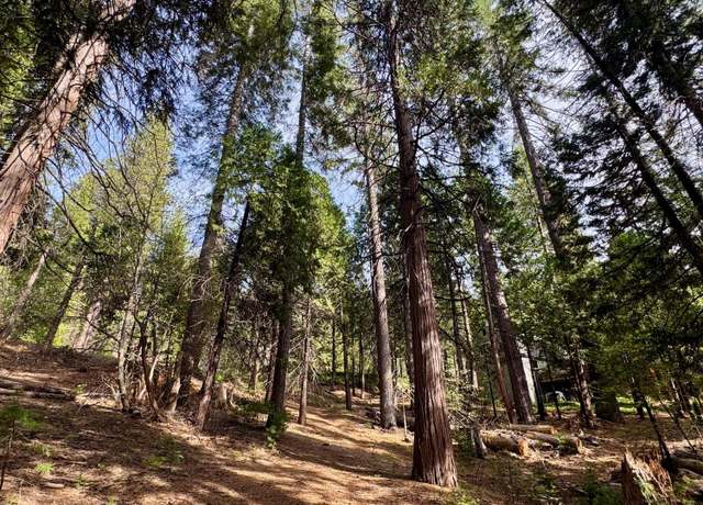 Property at 1040 Wawona Way, Arnold, CA 95223