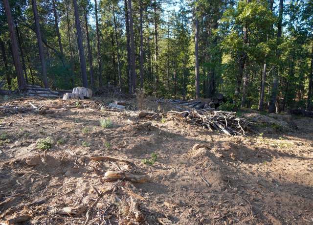 Property at 169 Canyon View Dr, Hathaway Pines, CA 95233