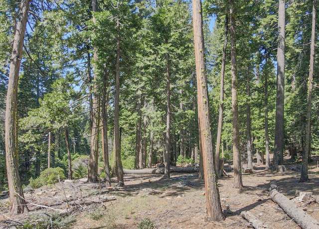 Property at 403 Sierra Pkwy, Camp Connell, CA 95223