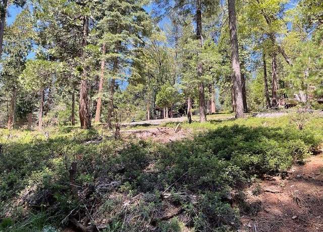 Property at 1474 Moran Rd, Arnold, CA 95223