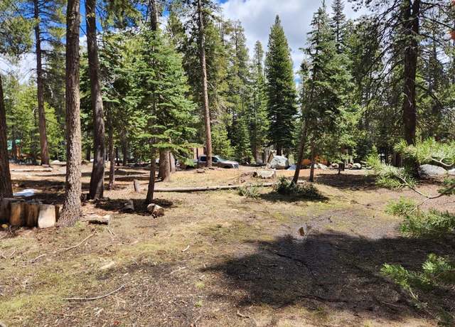 Property at 99 Monty Wolf Rd, Bear Valley, CA 95223