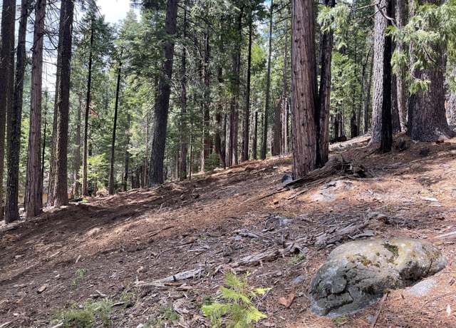 Property at 5205 Hokan Cir, Camp Connell, CA 95223