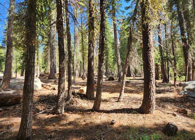 Property at 66 Silver Tip Dr, Tamarack, CA 95223