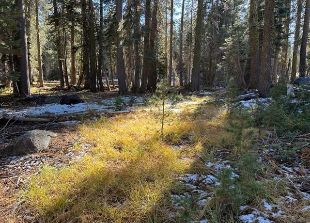 Property at 550 Cabbage Patch Log Rd, Tamarack, CA 95223