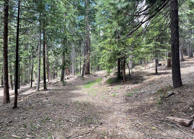 Property at 37 Iroquois Dr, Camp Connell, CA 95223