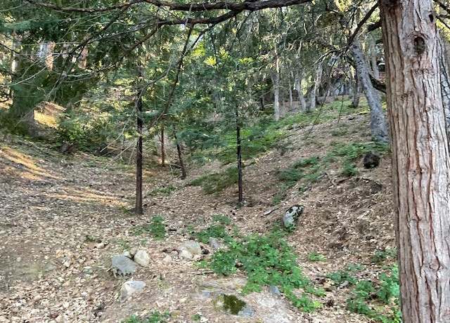 Property at 356 Snowberry Ct, Murphys, CA 95247