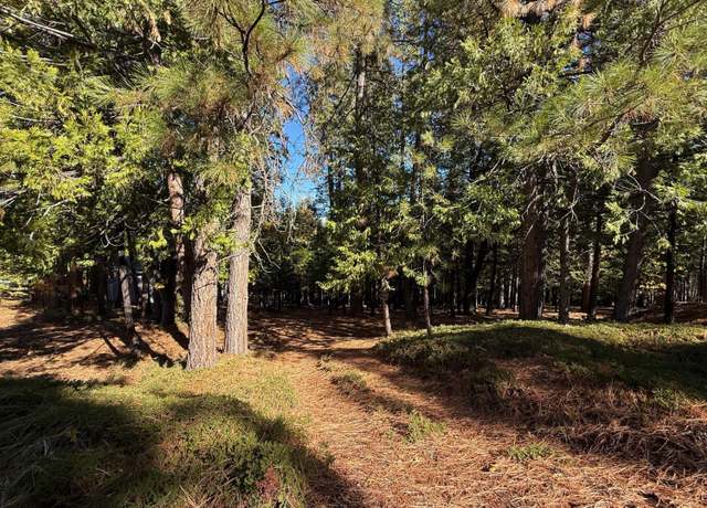 Property at 2850 Quartz Dr Dr, Arnold, CA 95223