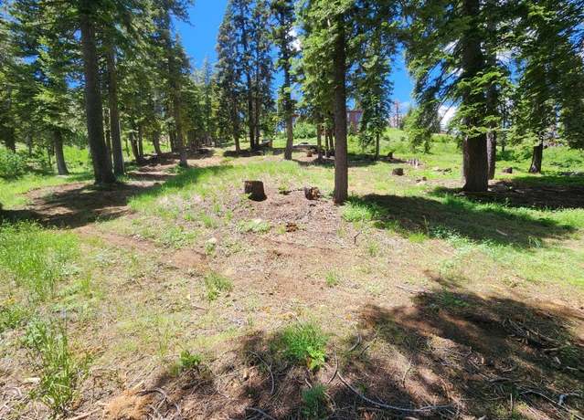 Property at 332 Snowshoe Rd Rd, Bear Valley, CA 95223