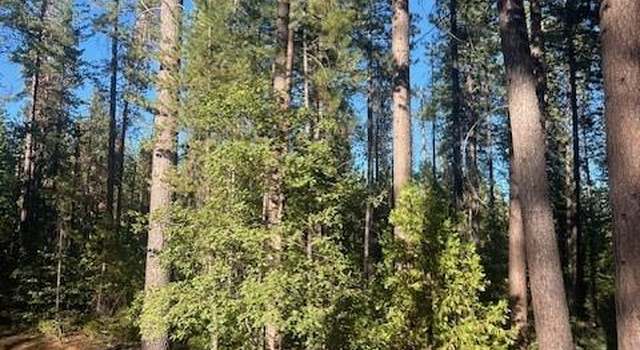 Photo of 4432 Hwy 4, Avery, CA 95222
