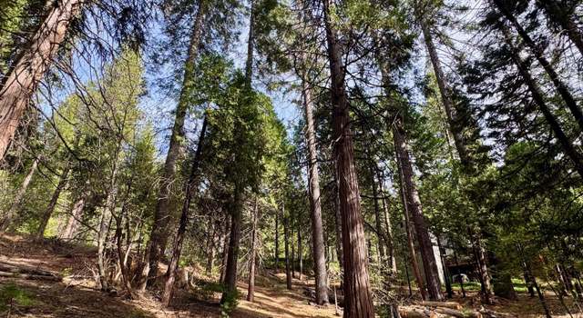 Photo of 1040 Wawona Way, Arnold, CA 95223