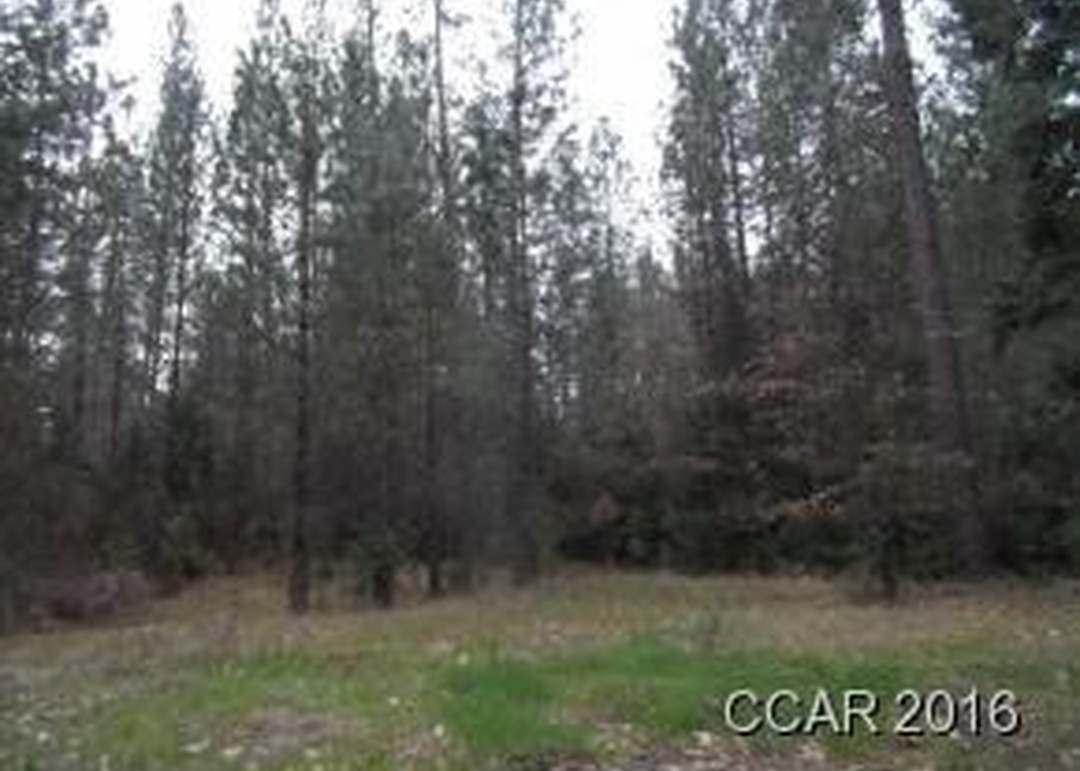 1161 Independence Rd, Railroad Flat, CA 95248