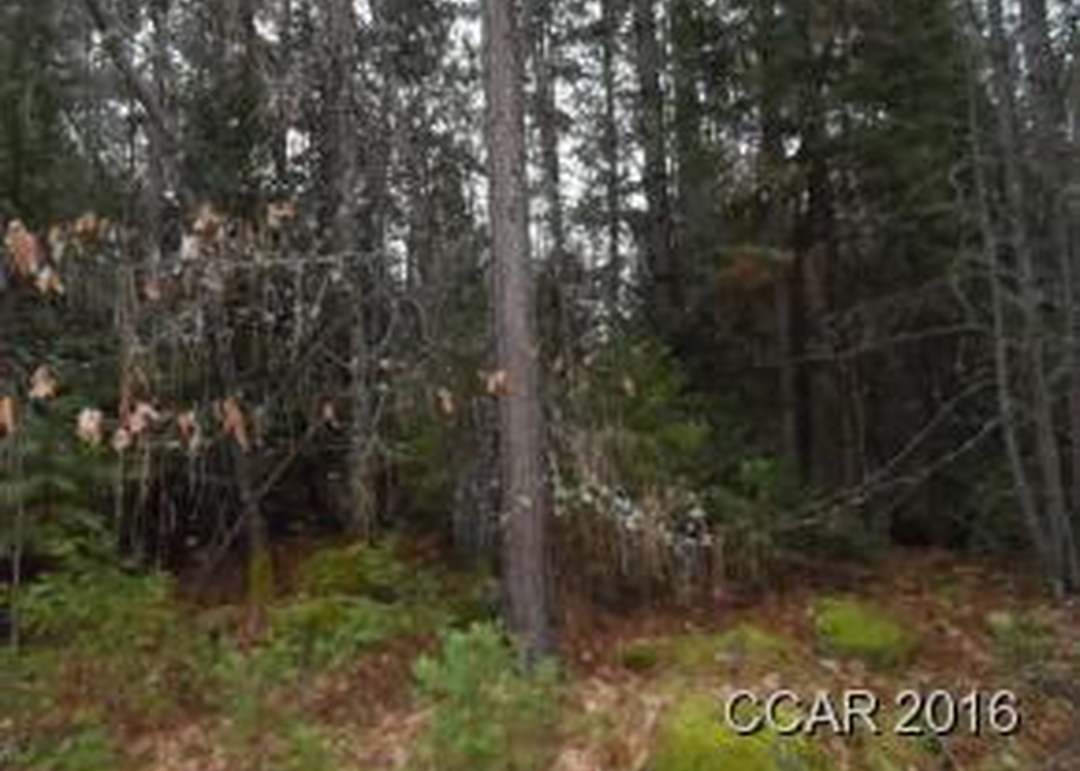 1161 Independence Rd, Railroad Flat, CA 95248