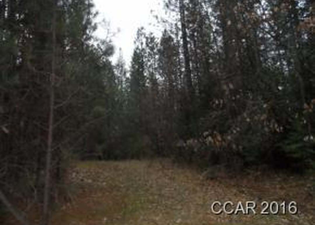 1161 Independence Rd, Railroad Flat, CA 95248