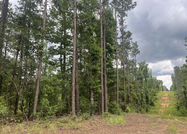 Property at #7 Lawler Rd, Lumberton, MS 39455