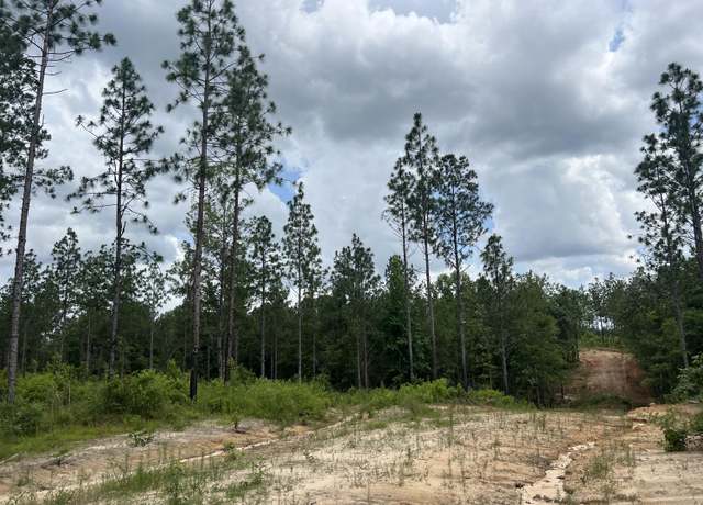 Property at #5 Lawler Rd, Lumberton, MS 39455
