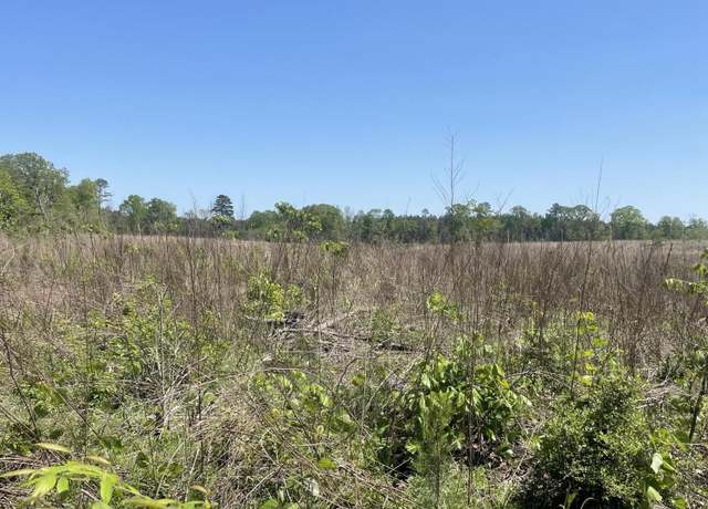 Property at 00 Gamble Rd, Prentiss, MS 39474