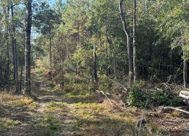 Property at 000 J Bailey Rd, Wiggins, MS 39577