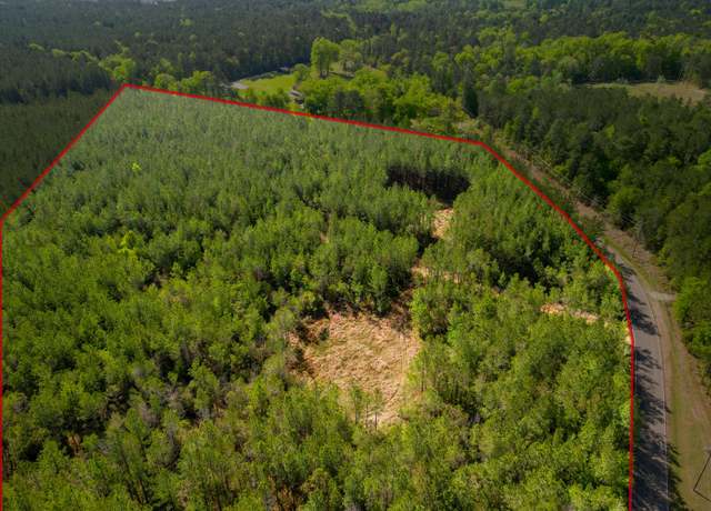 Property at +/- 93 Acres Lott Town Rd, Hattiesburg, MS 39402