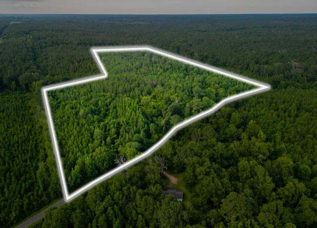 Property at 00 Oak Grove Rd, Silver Creek, MS 39663