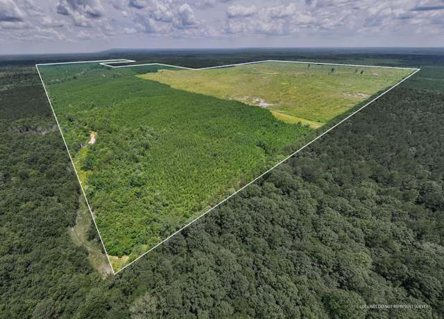 Property at 00 CR 1848, Pachuta, MS 39347