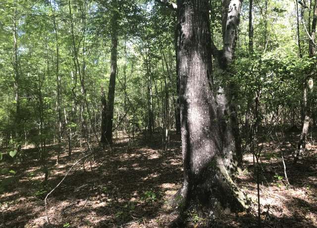 Property at 012 Thomas Richard Ln, Hattiesburg, MS 39401