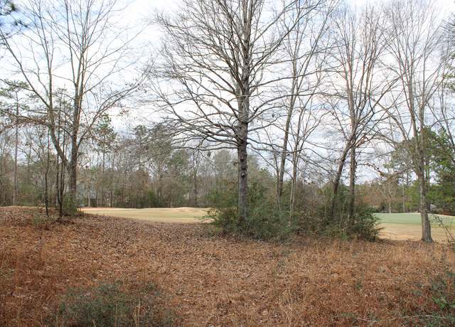 Property at 00 Shadow Lake Dr, Hattiesburg, MS 39402