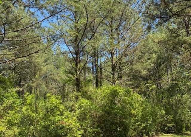 Property at 00 L V Clinton Rd, Hattiesburg, MS 39401