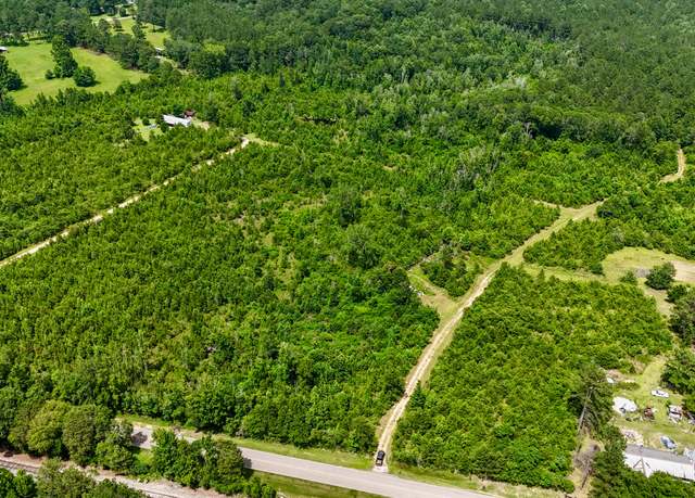 Property at 20 Acres Peps Point Rd, Hattiesburg, MS 39401