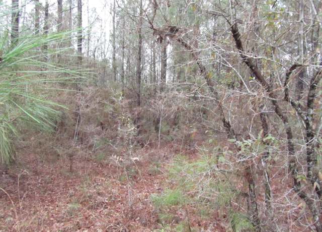 Property at 000 Eddie Smith Rd, Hattiesburg, MS 39402