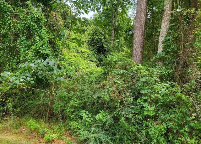 Property at Lot 70 Lakeside Dr, Carriere, MS 39426