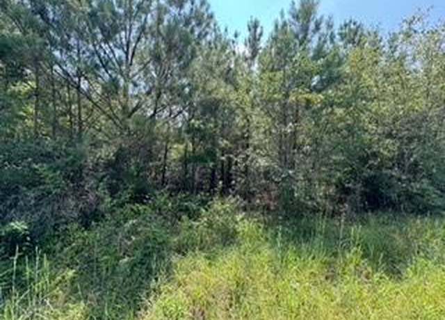 Property at 00 Rose Hill Rd, Silver Creek, MS 39663