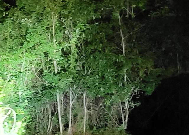 Property at Lot of 3 Satcher Dr, Picayune, MS 39466