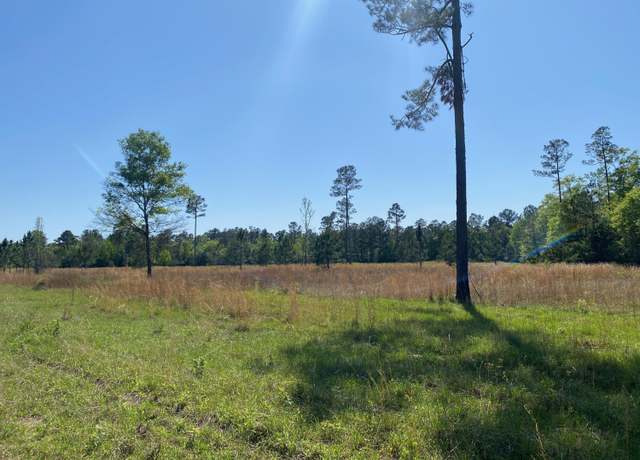 Property at 155 Go Go Rd, Poplarville, MS 39470