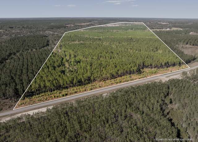 Property at 0 Mc Neil Steephollow Rd, Poplarville, MS 39470