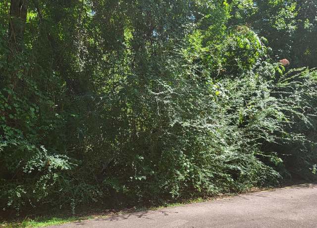 Property at Lot #1047 Edgewood Cir, Carriere, MS 39426