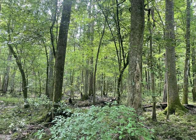 Property at TBD Clem Rd, Prentiss, MS 39474