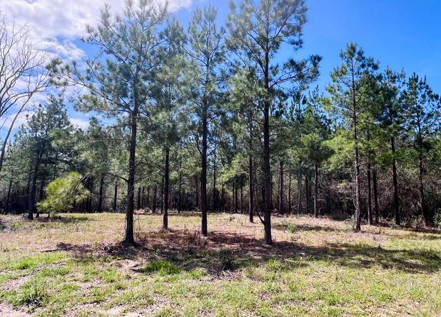 Property at 21.41 AC Egg Farm Rd, Poplarville, MS 39470