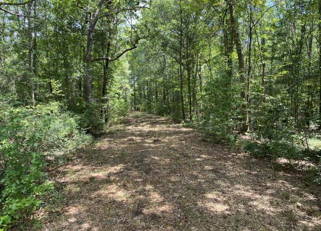 Property at 64.5 Acres Hwy 43 N, Poplarville, MS 39470