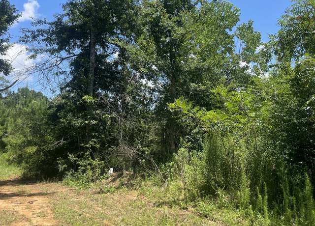 Property at TBD Hollis Ln, Prentiss, MS 39474