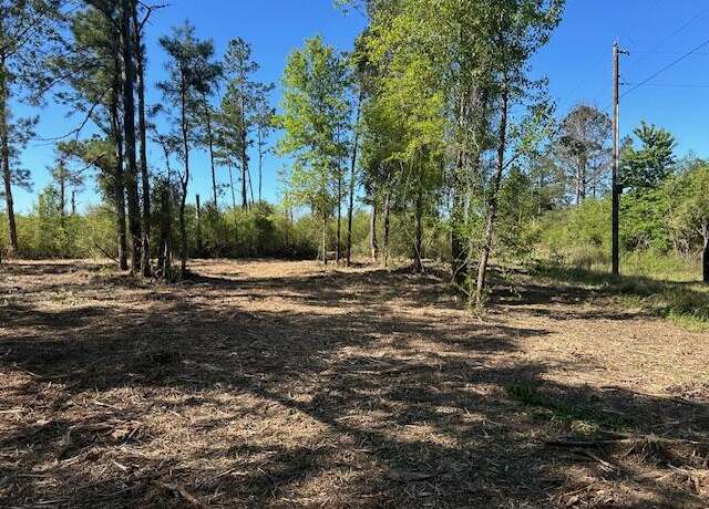 Property at 0 New Hope, Sandy Hook, MS 39478