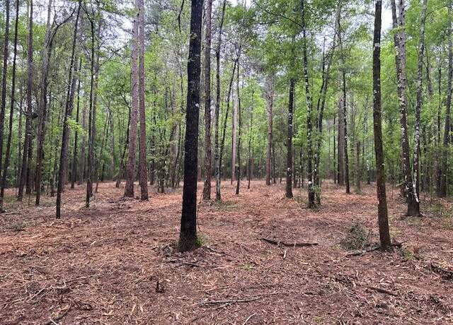 Property at 0 Rogers Ln, Foxworth, MS 39483
