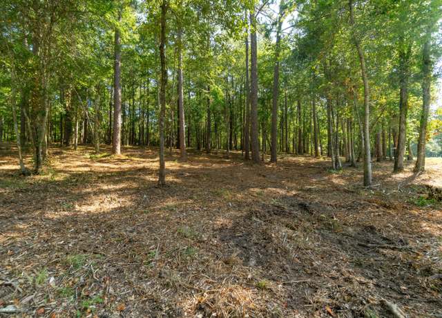Property at 0 Magellan Rd, Hattiesburg, MS 39402