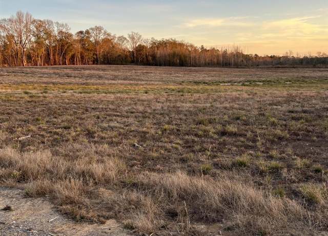 Property at LOT 8 1 AC Patton Creek Rd, Waynesboro, MS 39367
